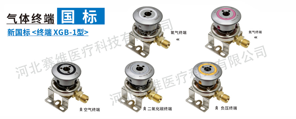 氣體終端系列-新國(guó)標(biāo)終端
